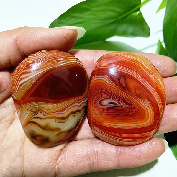 Red Lace Sardonyx Palm Stones-ToShay.org