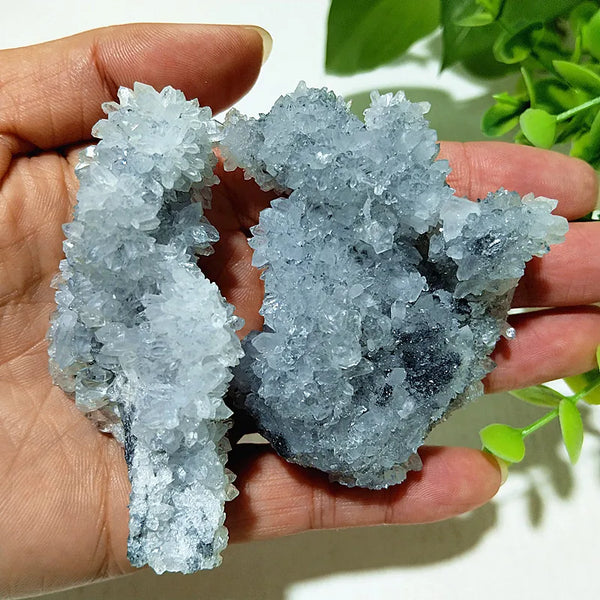 Blue Chrysanthemum Fluorite Cluster-ToShay.org