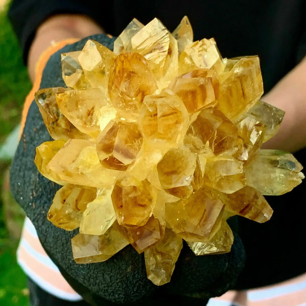 Yellow Phantom Quartz-ToShay.org