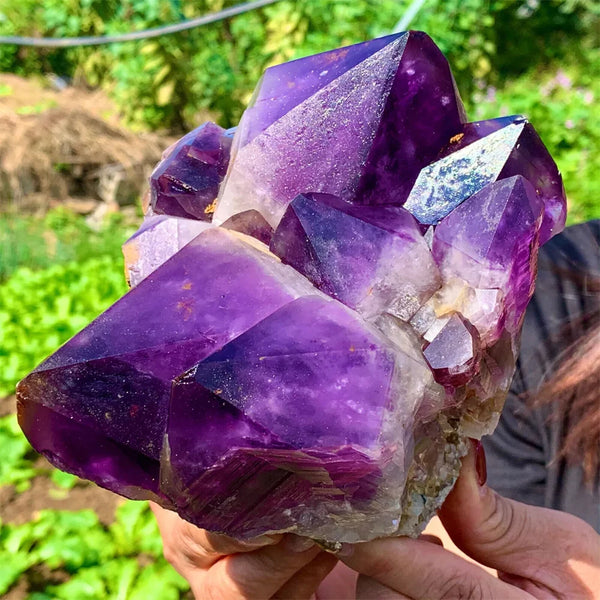 Purple Amethyst Cluster-ToShay.org