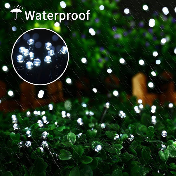 String Fairy Lights-ToShay.org