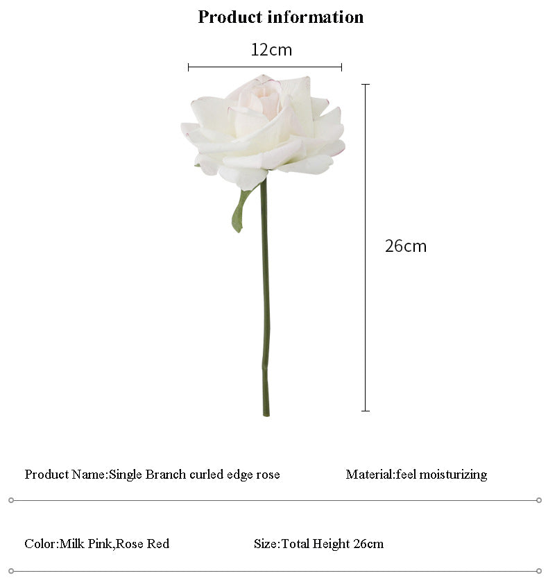 Rose Flowers-ToShay.org