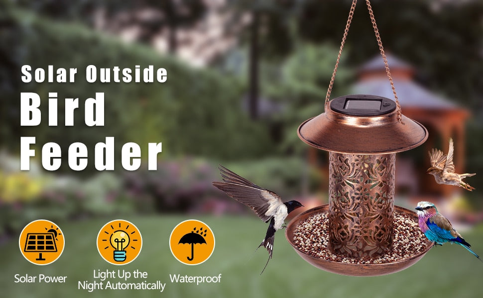 Bird Feeder Solar Light-ToShay.org
