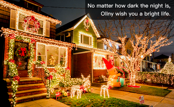 String Fairy Lights-ToShay.org