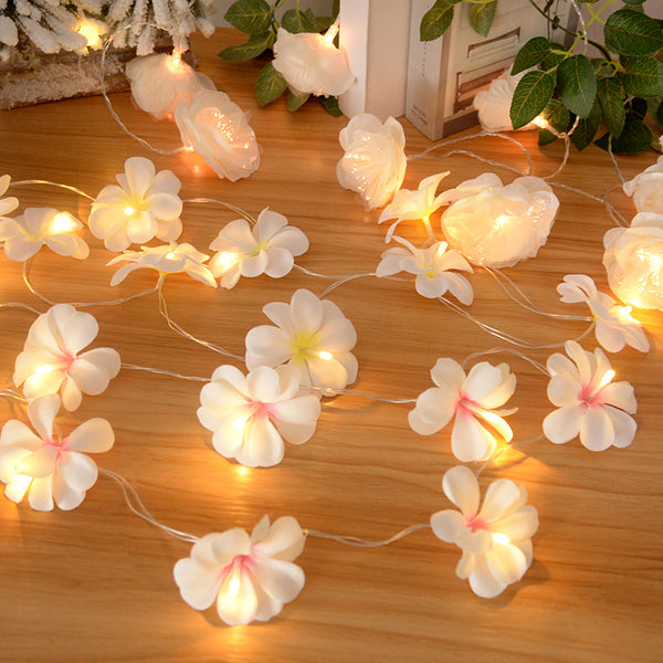 Frangipani Flower String Lights-ToShay.org