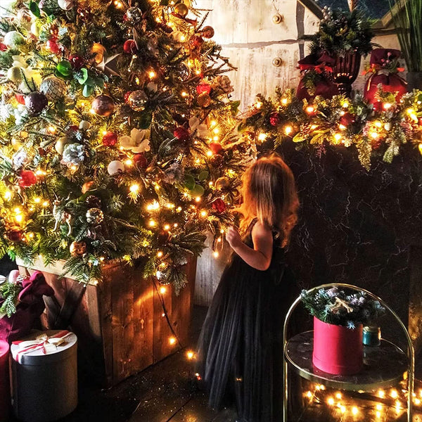 String Fairy Lights-ToShay.org