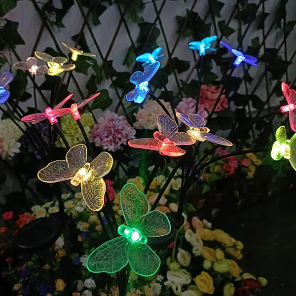 Butterfly Lights-ToShay.org
