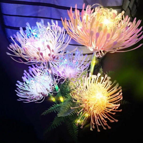 Flower Lights-ToShay.org