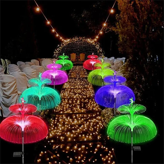 Jellyfish Light-ToShay.org