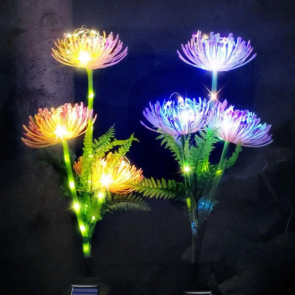 Flower Lights-ToShay.org