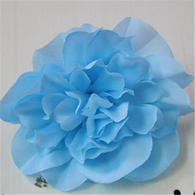 Dahlia Flower Heads-ToShay.org
