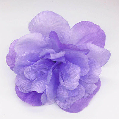 Dahlia Flower Heads-ToShay.org