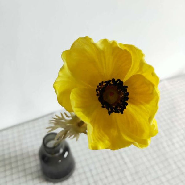 Anemone Flower-ToShay.org