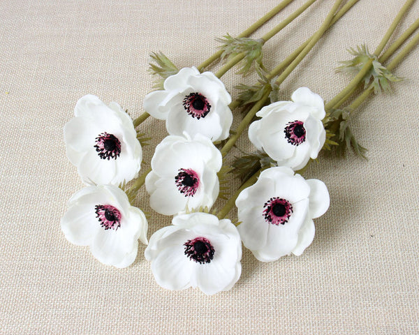 Anemone Flowers-ToShay.org