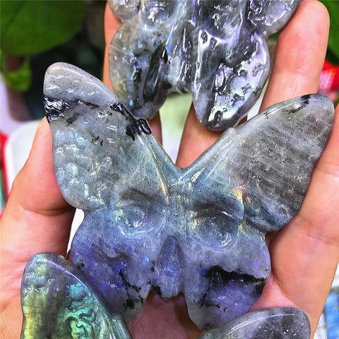Blue Labradorite Butterfly-ToShay.org