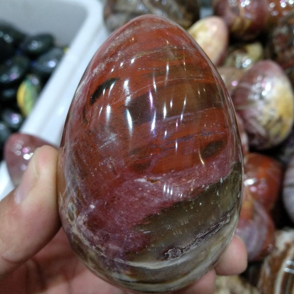 Mixed Petrified Wood Egg-ToShay.org