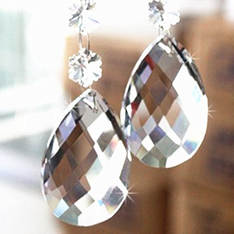 Clear Crystal Faceted Teardrop-ToShay.org