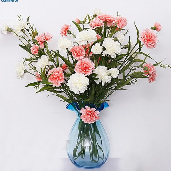 Carnation Flowers-ToShay.org