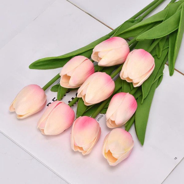 Tulip Flower-ToShay.org