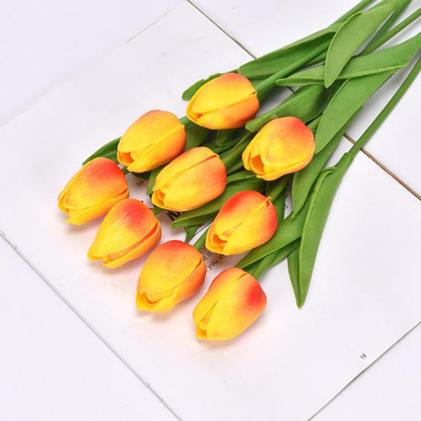 Tulip Flower-ToShay.org