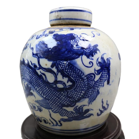 Blue and White Dragon Pot-ToShay.org