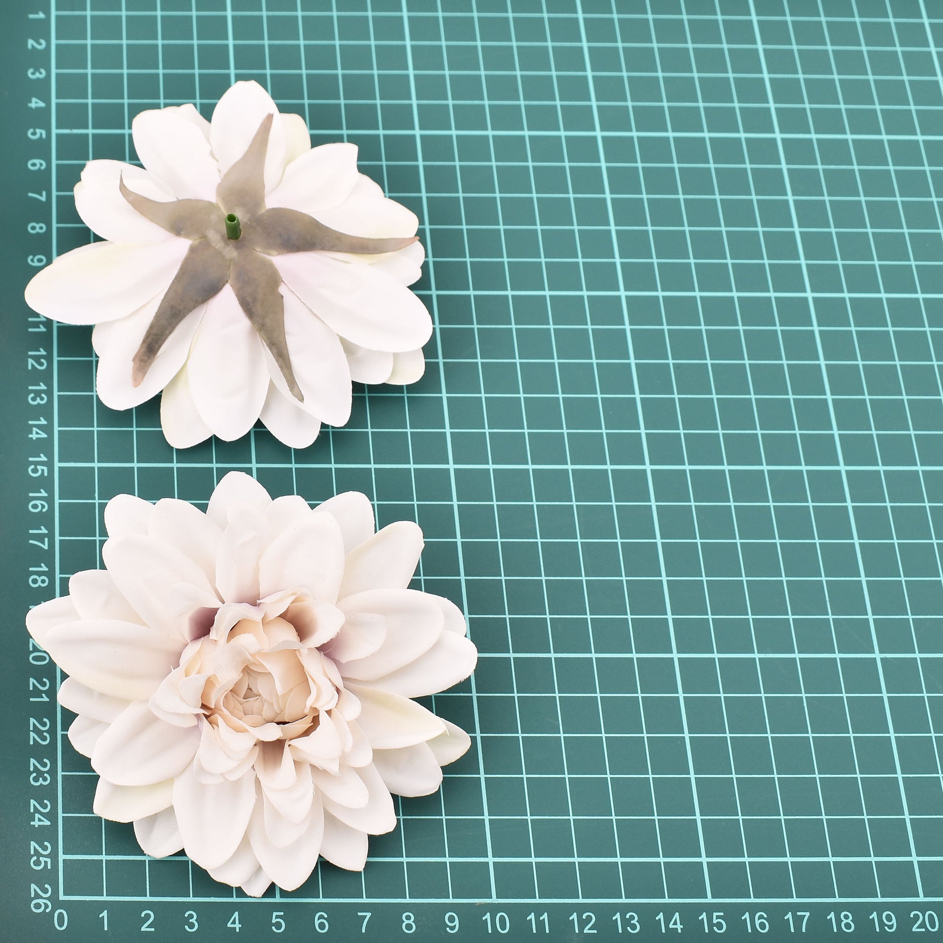 Dahlia Flower Heads-ToShay.org