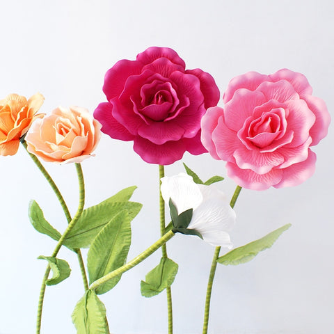 Rose Flowers-ToShay.org