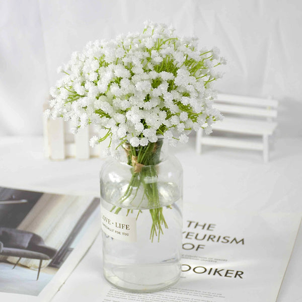 White Gypsophila Flowers-ToShay.org