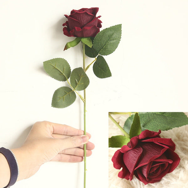Rose Long Stem Flowers-ToShay.org