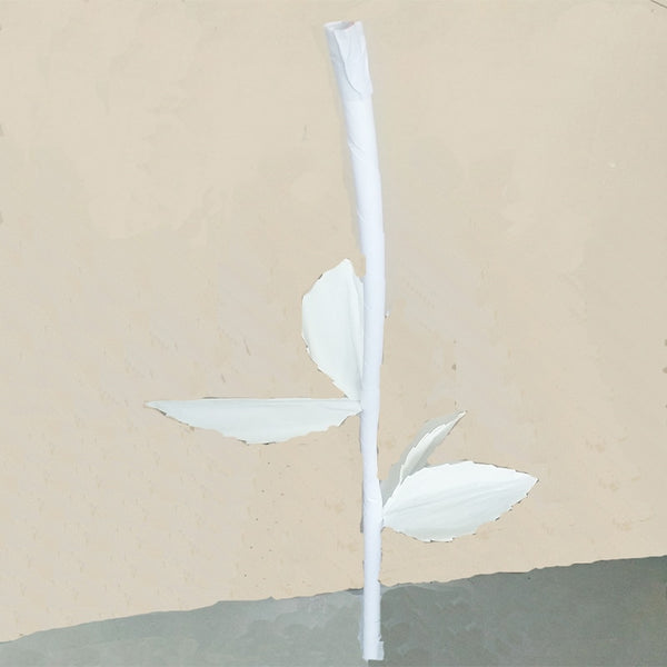 Peony Paper Flower-ToShay.org