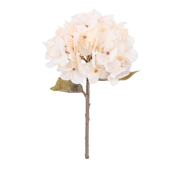 Hydrangea Flower Branch-ToShay.org