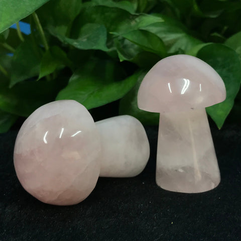 Pink Rose Powder Crystal Mushroom-ToShay.org