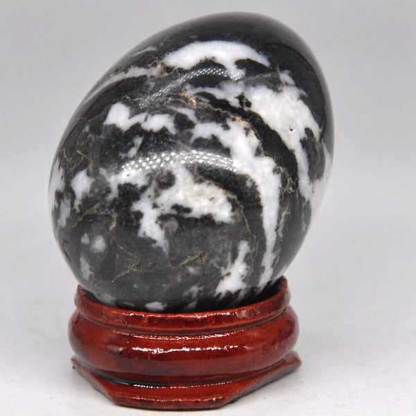 Black White Zebra Egg-ToShay.org