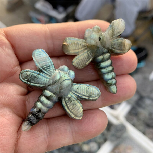 Blue Labradorite Dragonfly-ToShay.org