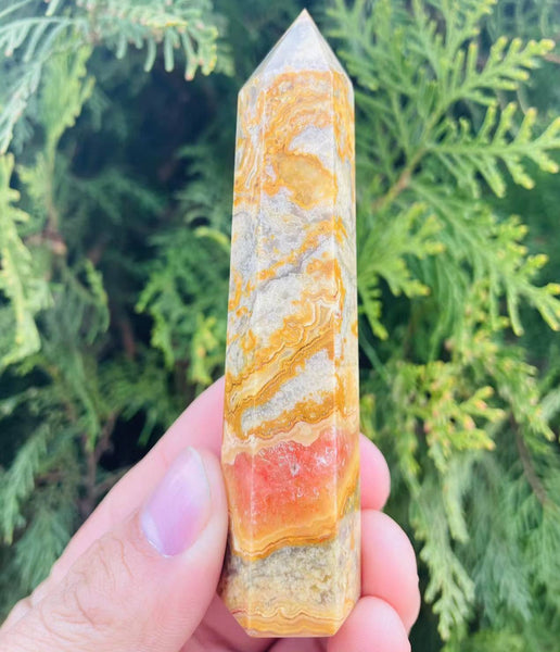 Yellow Crazy Lace Agate-ToShay.org