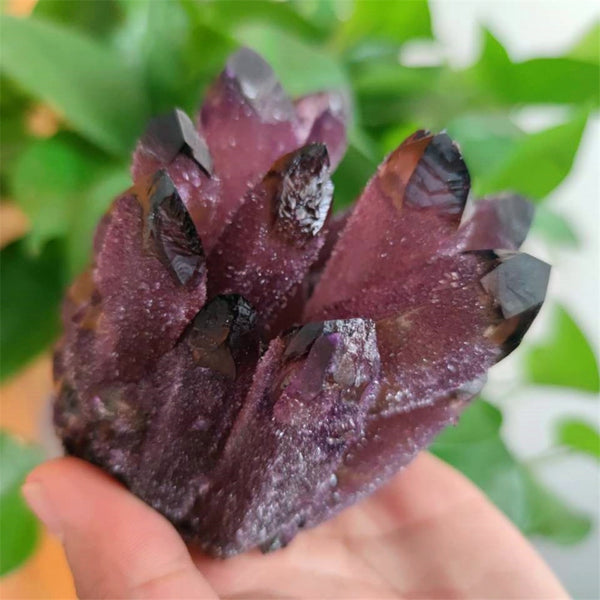 Purple Ghost Quartz Crystal Cluster-ToShay.org