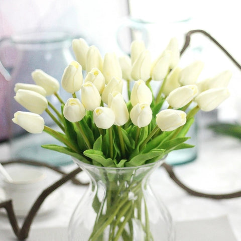 Tulip Flowers-ToShay.org