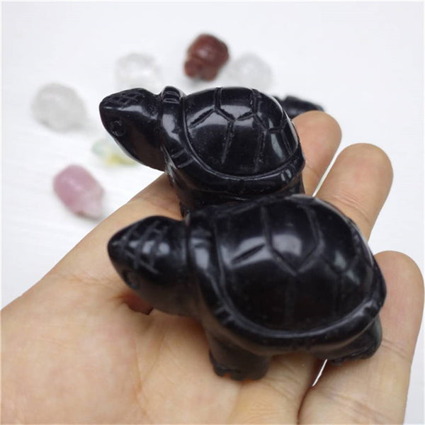 Mixed Crystal Tortoise-ToShay.org