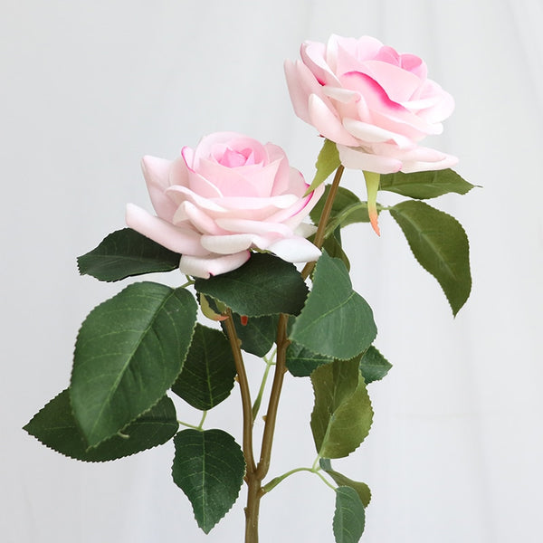 Rose Flowers-ToShay.org