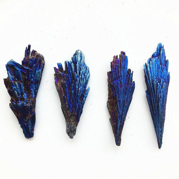 Blue Titanium Peacock Tails-ToShay.org