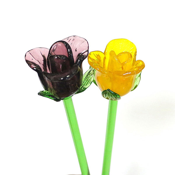 Glass Flowers-ToShay.org