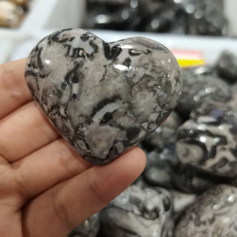 Grey Sponge Fossil Heart-ToShay.org