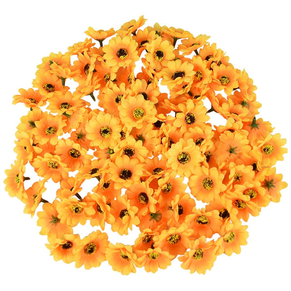 Sunflower Flower Heads-ToShay.org
