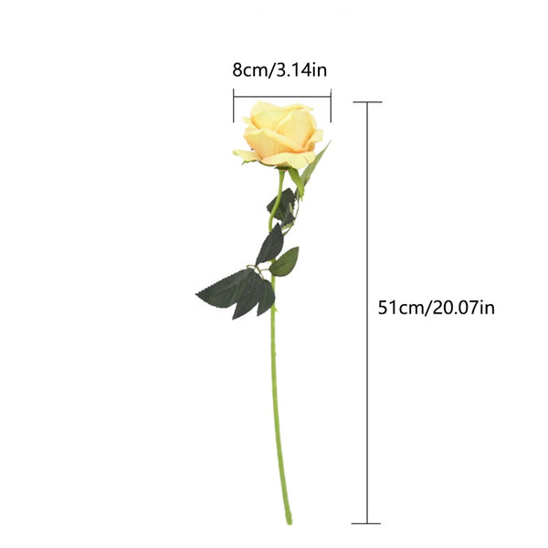 Rose Long Stem-ToShay.org