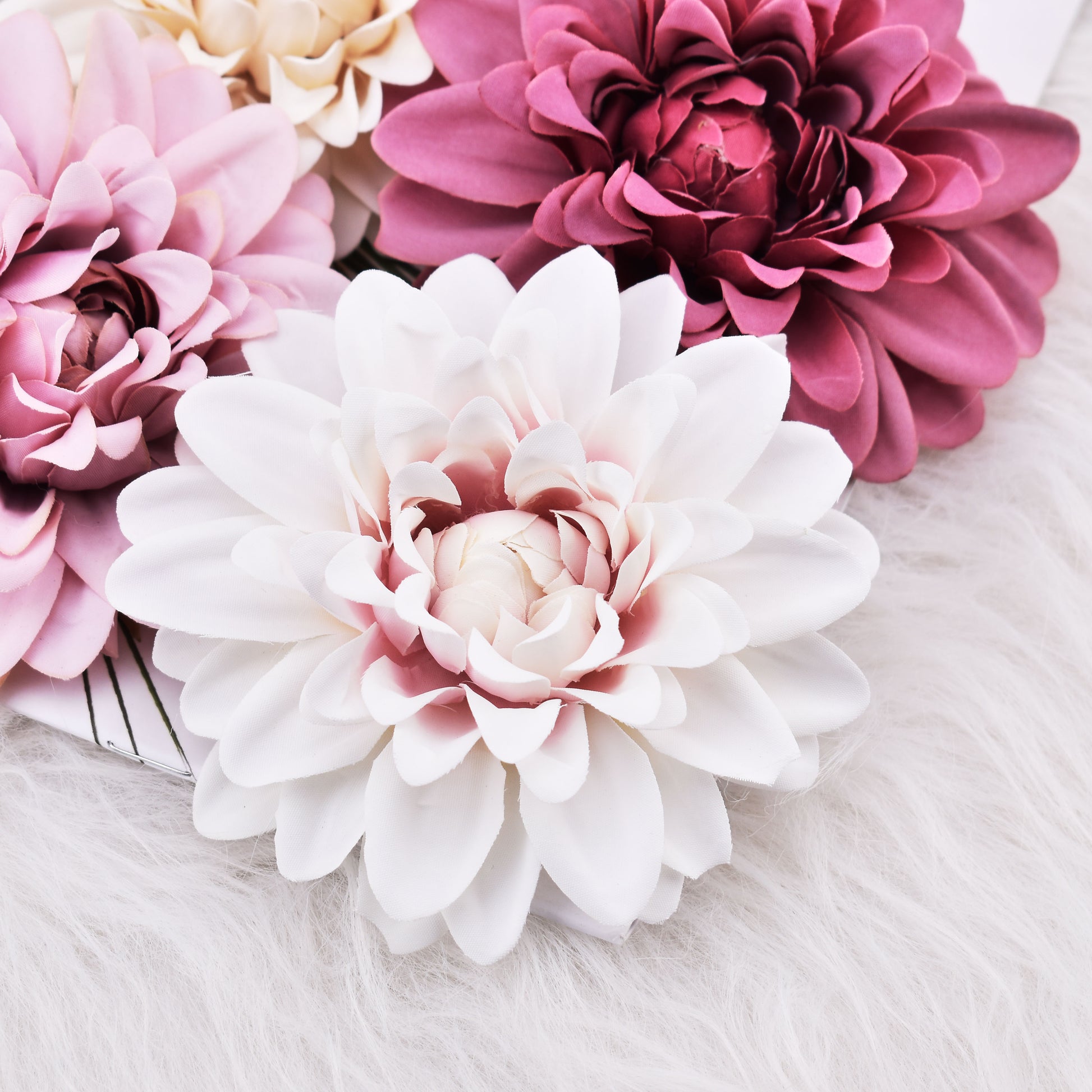 Dahlia Flower Heads-ToShay.org