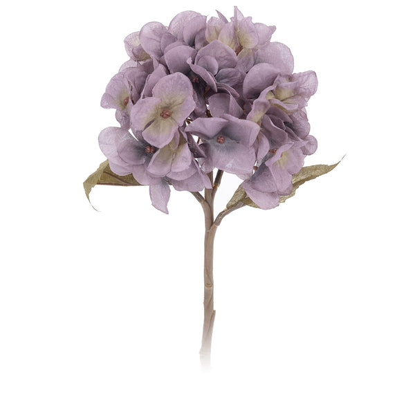 Hydrangea Flower Branch-ToShay.org