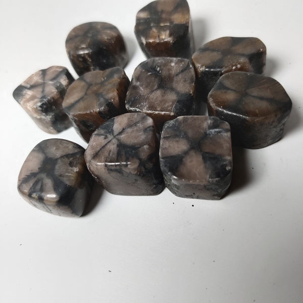 Black Grenatite Stones-ToShay.org