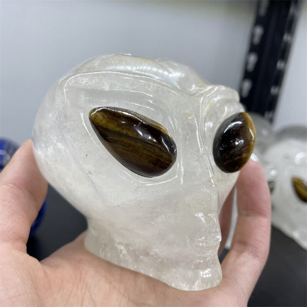 White Crystal Alien Skull-ToShay.org
