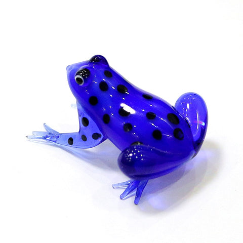 Glass Frogs-ToShay.org