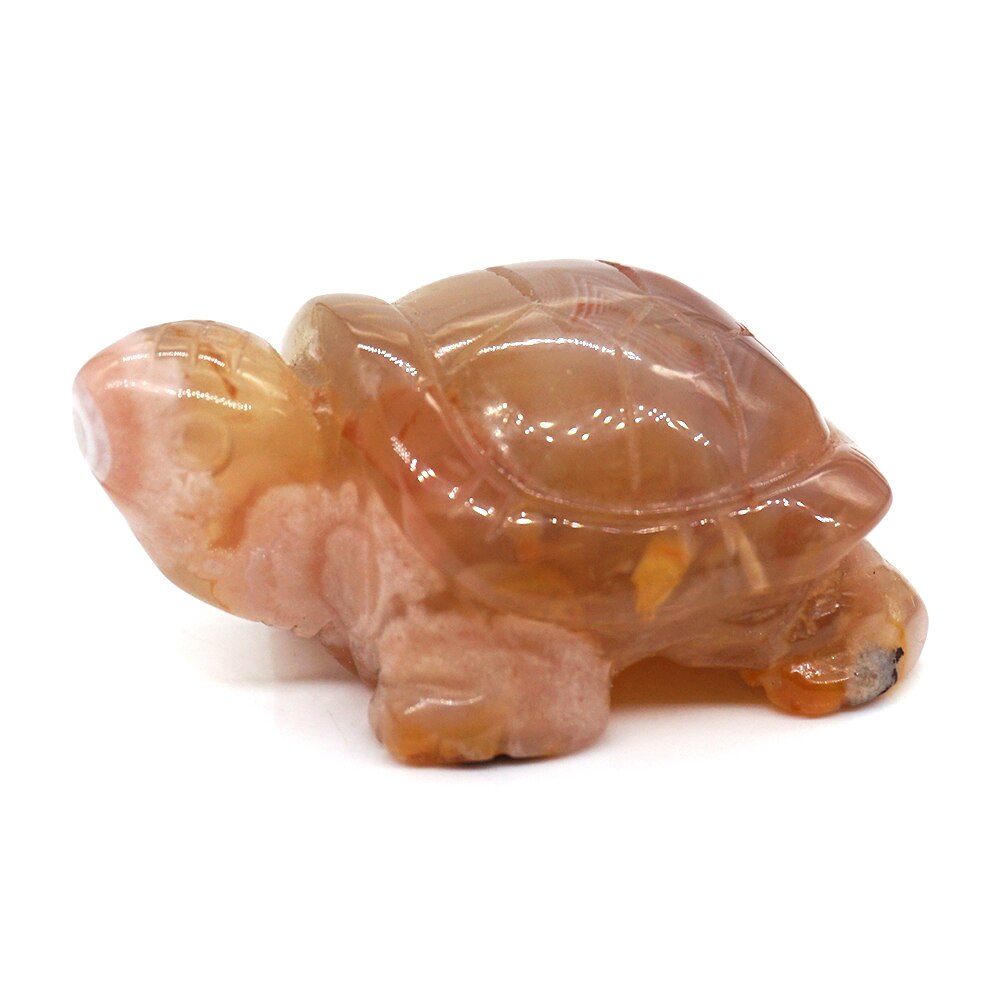 Mixed Crystal Animals-ToShay.org